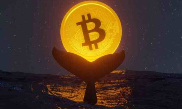 Megaveľryby ukazujú na toto dôležité znamenie! O čo ide?