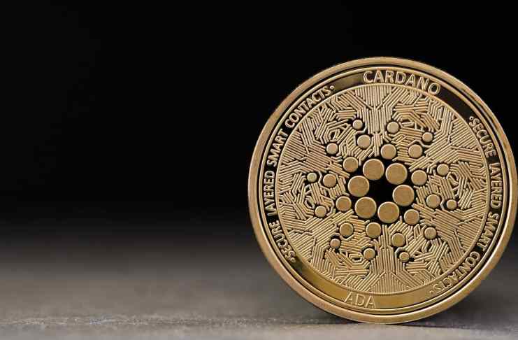 Hard fork Vasil sa blíži – dočká sa Cardano prevratu, alebo blamáže?