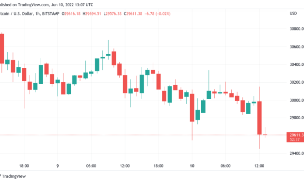 Bitcoin price falls under $29.5K after 'unexpected' 40-year high US inflation