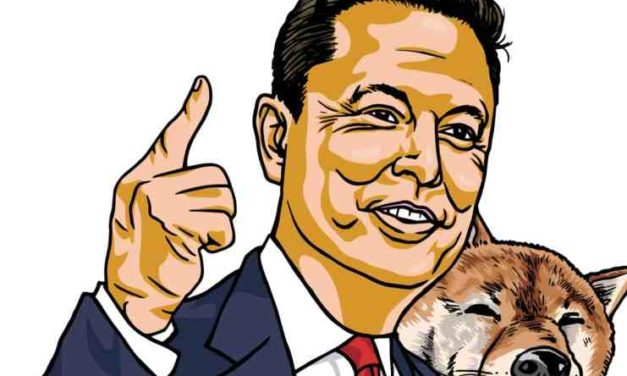 Dogecoin údajne plánuje nový decentralizovaný web. Čo na to Elon Musk?