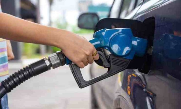 Graf na dnes: benzín aj plyn opäť tento týždeň rástli