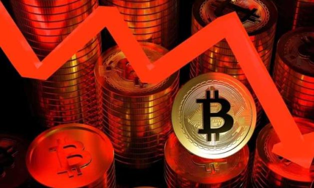 Pokles Bitcoinu na 12 000 dolárov je vysoko pravdepodobný, tvrdí špičkový analytik Coin Bureau