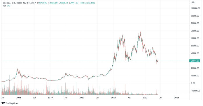 Rast BTC v rokoch 2020/2021