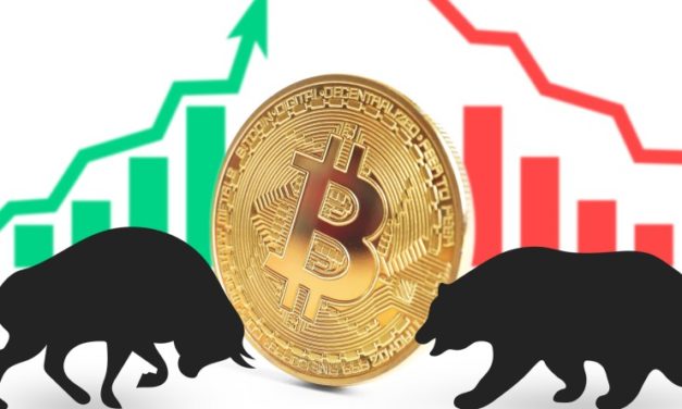 CEO najväčšej bitcoinovej ťažobnej spoločnosti : „Koniec medvedieho trhu s kryptomenami uvidíme koncom roka 2022“