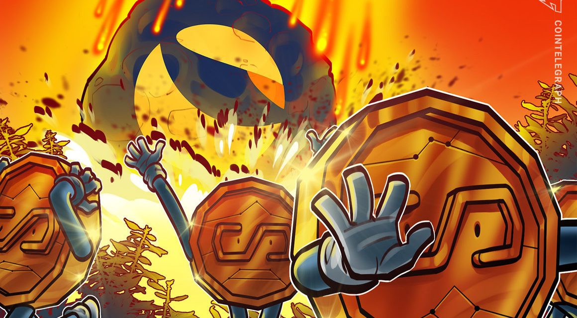 Terra crash highlights stablecoin risk to financial stability: ECB