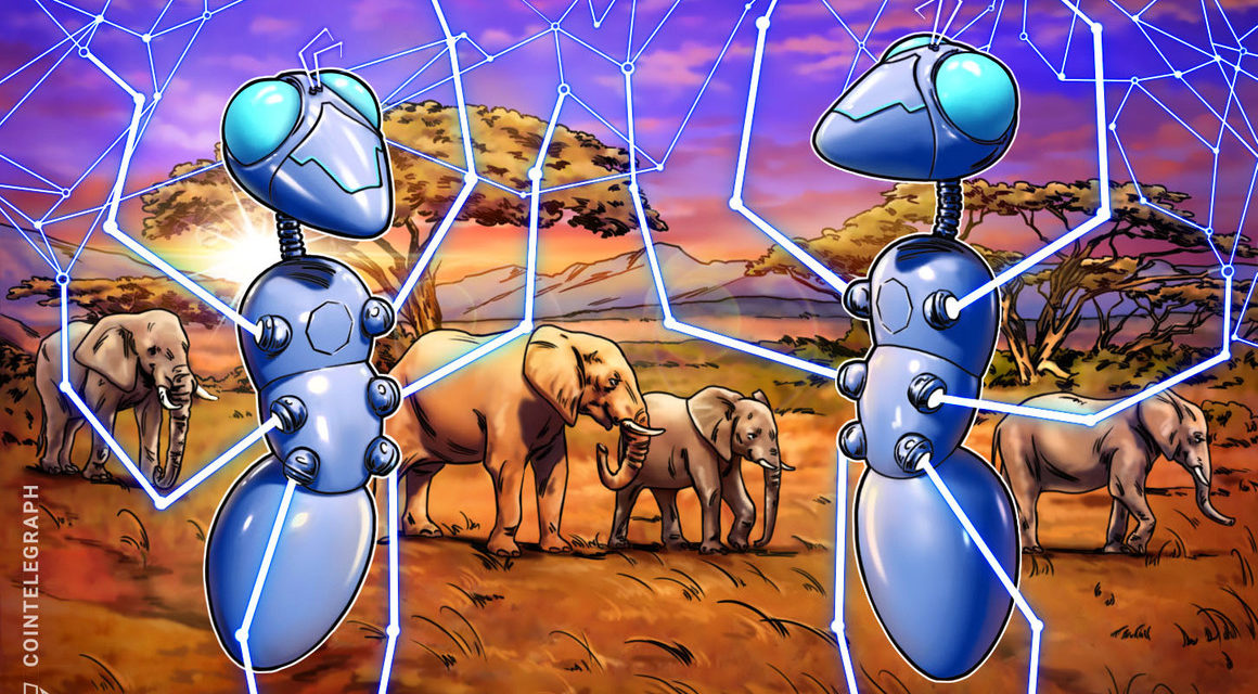 Africa can create an inclusive society with blockchain, says LBank CEO