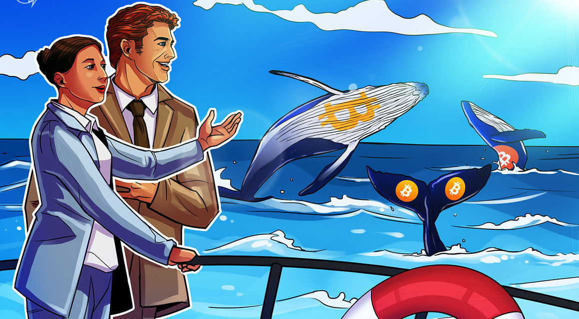What is Bitcoin whale watching and how to track Bitcoin whales?