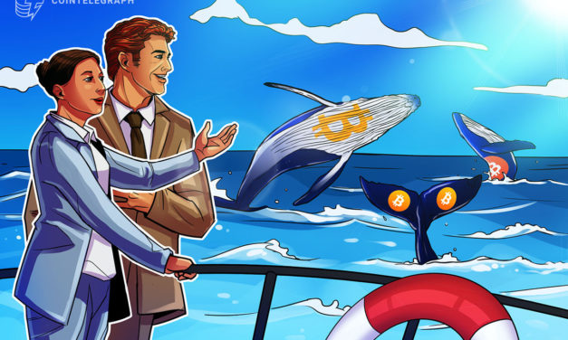 What is Bitcoin whale watching and how to track Bitcoin whales?