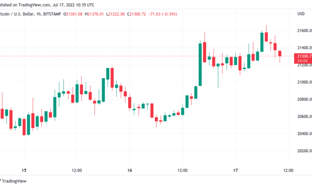Bitcoin hodlers will 'soon see why' $21.6K BTC price pump is fake — trader