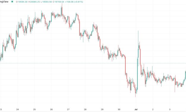 Bitcoin price spikes to $20K as whale bought BTC confirms support