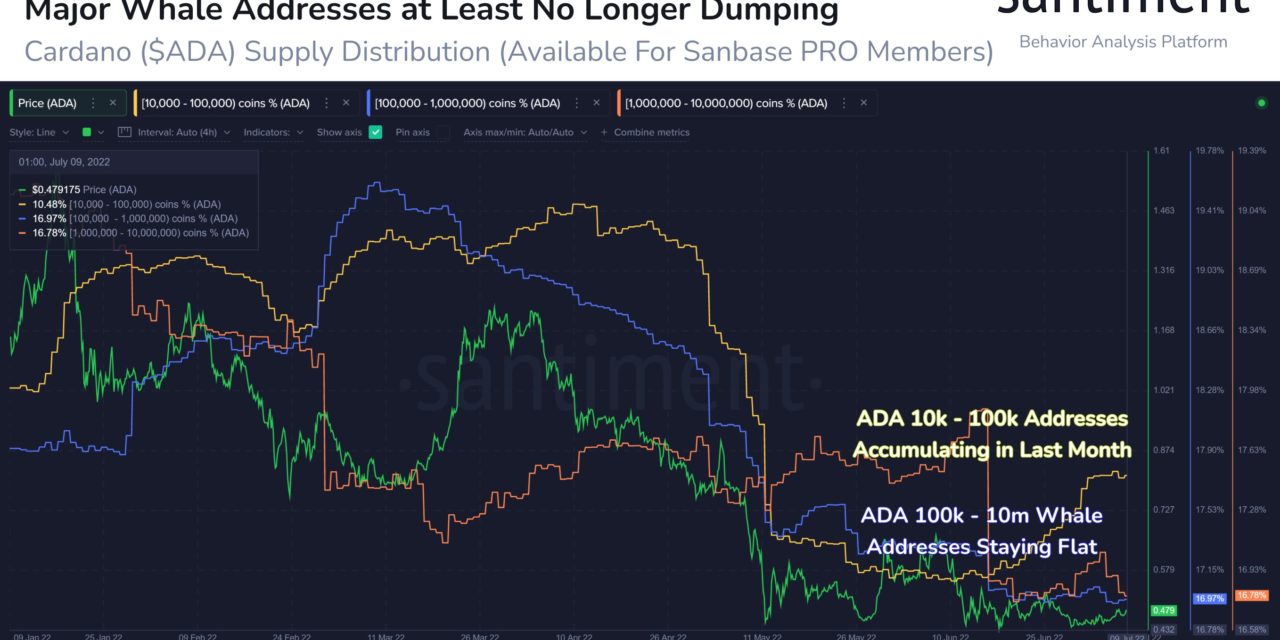 Cardano 'sharks' scoop up 79.1 million ADA ahead of Vasil hard fork