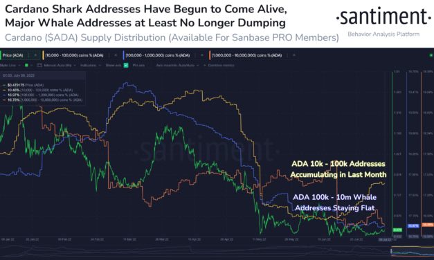 Cardano 'sharks' scoop up 79.1 million ADA ahead of Vasil hard fork