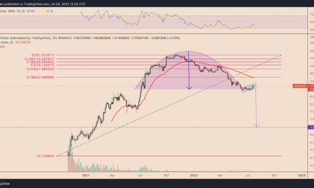 Axie Infinity is painting a giant bearish pattern — will AXS price crash another 95%?