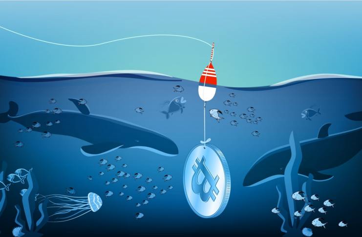 Bitcoin je pod realizovanou cenou. Ideálny čas na nákup?