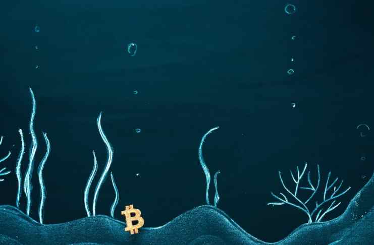 Investor Kevin O’Leary: Blíži sa masívna „krypto-panika“ a veľká časť odvetvia bude zlikvidovaná!