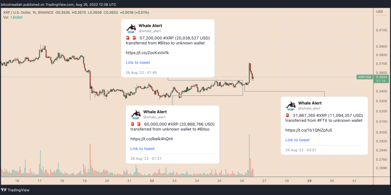 XRP price pumps and dumps amid mysterious $51M whale transfers — what's next?