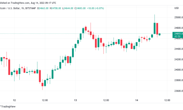 Bitcoin hits $25K as bearish voices call BTC price 'double top'