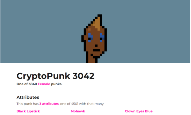 A slice of the punk: CryptoPunk NFT to be split into 56,000 pieces
