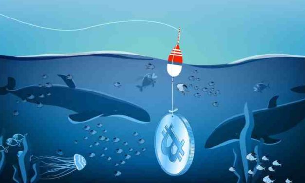 Podľa tejto metriky Bitcoin smeruje do finálnej fázy korekcie