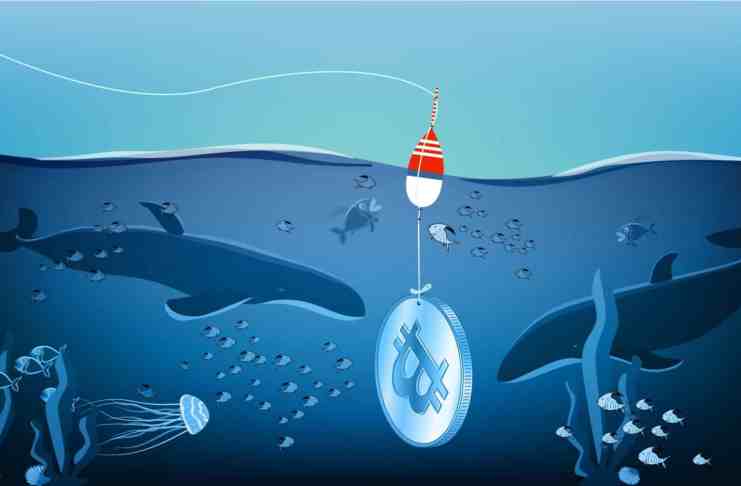 Podľa tejto metriky Bitcoin smeruje do finálnej fázy korekcie