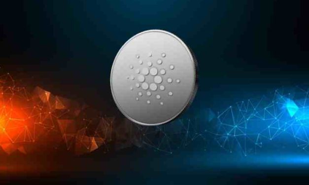 „Chyba bola odstránená a Cardano je teraz lepšie ako kedykoľvek predtým,“ tvrdí vývojár, ktorý označil testnet za katastrofu