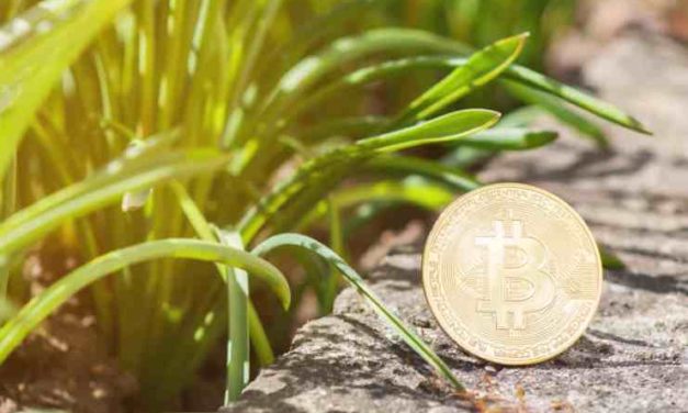 Uznávaný investor Mark Yusko: „Býčí trh príde v roku 2024, keď nastane nový halving Bitcoinu”