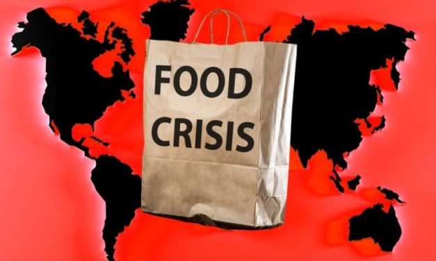 Aktuálne: Energetická kríza spôsobí explóziu rastu cien potravín, varuje Bloomberg