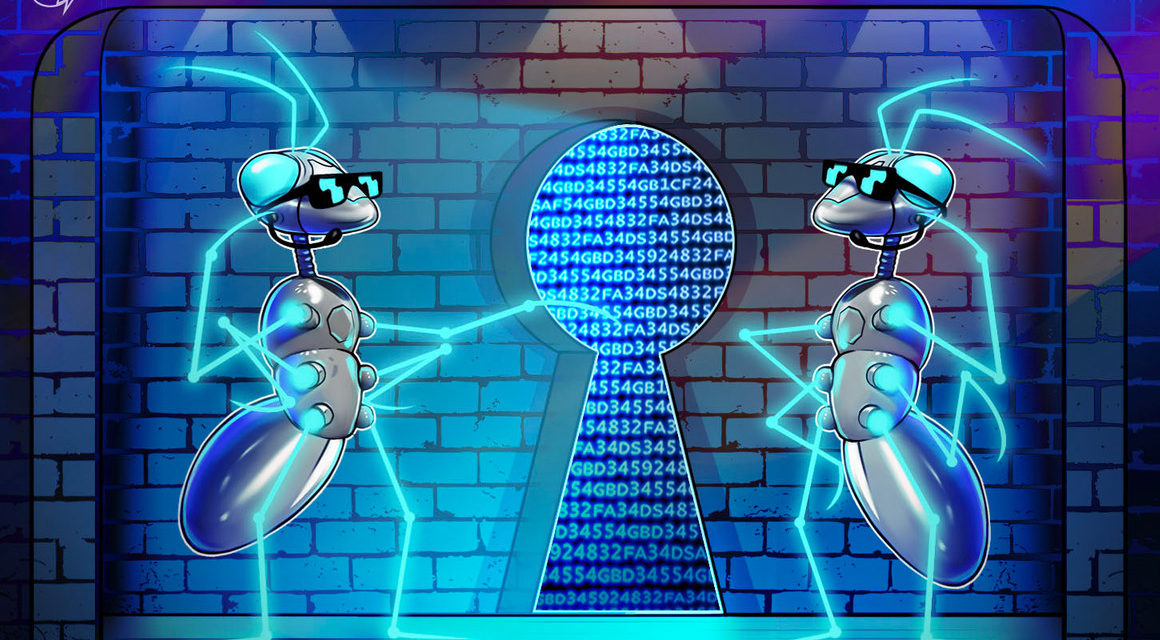 Polygon CSO blames Web2 security gaps for recent spate of hacks