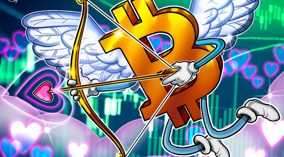 Cato Institute CEO says his daughter married the 'Bitcoin Sign Guy' from 2017 hearing