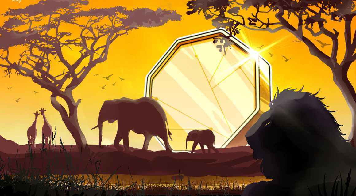 Nigeria, Binance in early-stage talks for crypto-friendly economic zone