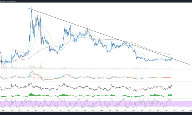 XRP price breaks out of range with a 25% rally, but why?