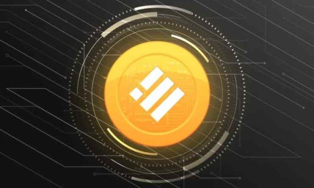 Dôležité: Binance končí s podporou stableconu USDC, chce podporiť vlastný stablecoin BUSD!