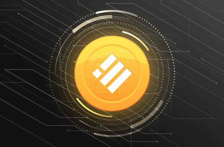 Dôležité: Binance končí s podporou stableconu USDC, chce podporiť vlastný stablecoin BUSD!