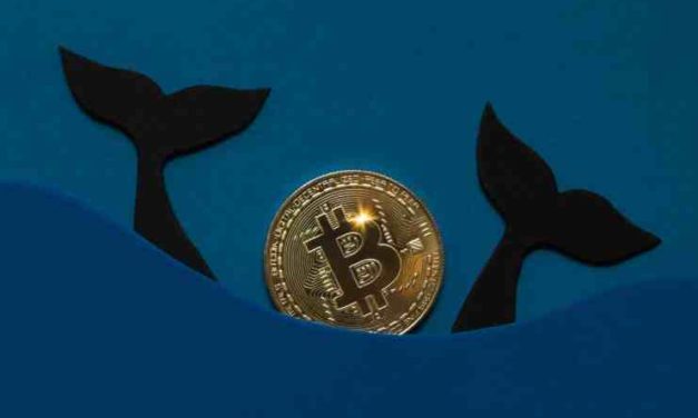 Aktivita v bitcoinovej sieti naznačuje dôležitý pohyb. Čaká nás rast alebo pokles?