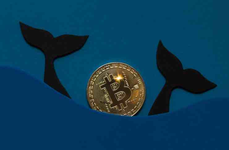 Aktivita v bitcoinovej sieti naznačuje dôležitý pohyb. Čaká nás rast alebo pokles?