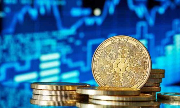 Záujem veľkých investorov o Cardano stále prudko rastie