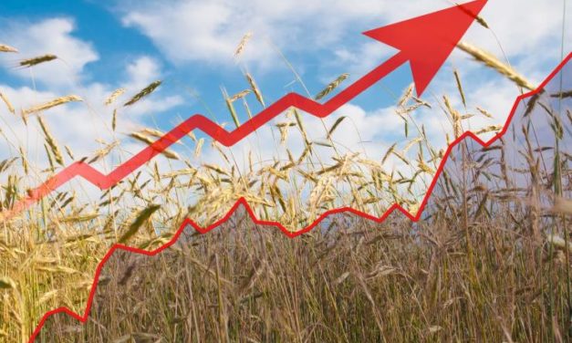 Ceny poľnohospodárskych výrobkov medziročne vzrástli o takmer 50 %!