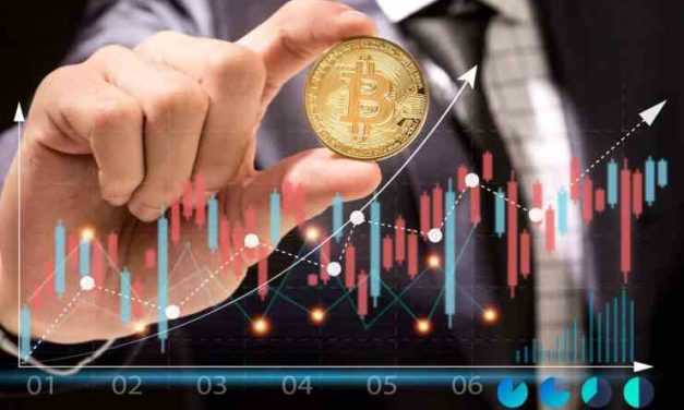 Dôvera v kryptomeny medzi investormi stále rastie aj napriek poklesu