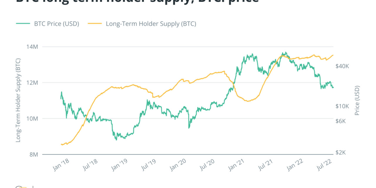 Glimpses of positive momentum in an overall bearish market? Report