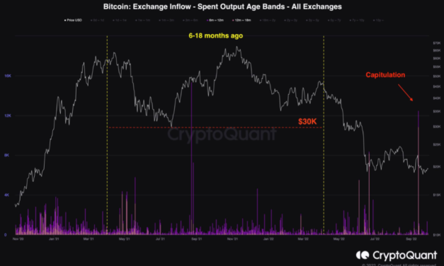 Bitcoin 2021 bull market buyers ‘capitulate’ as data shows 50% losses