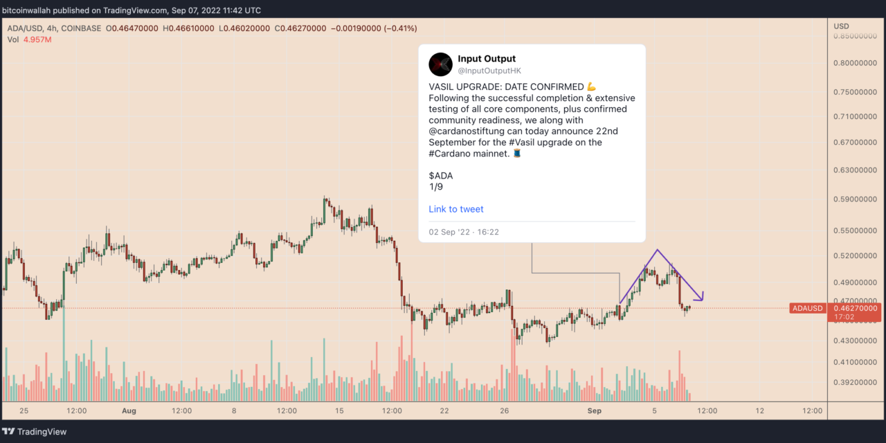 Cardano (ADA) eyes 15% rally despite Charles Hoskinson's fear over 'macro factors'