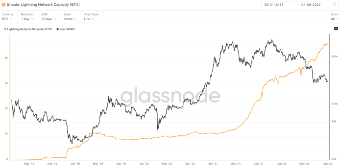 Kapacita lightning network