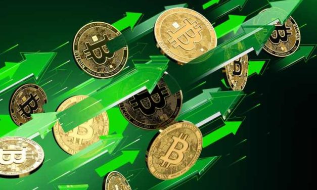 Will Clemente: „Bitcoin konečne ukazuje potenciál rastu, je vysoko podhodnotený“
