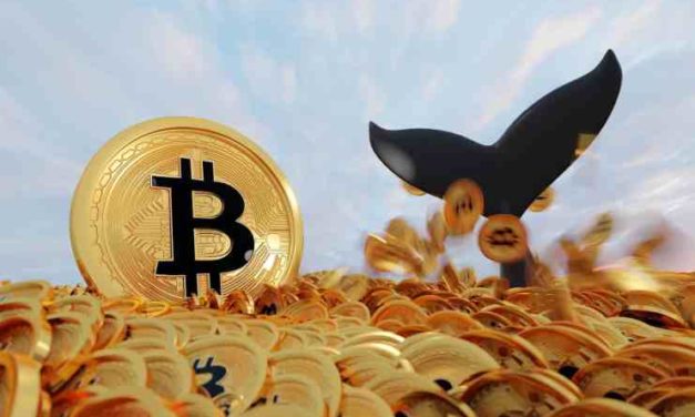 Toto sú najbohatšie bitcoinové adresy. Komu patria?