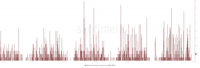 Nárast veľrybích transakcií 