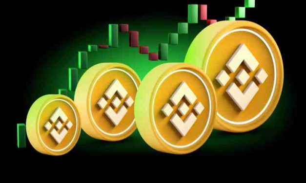 Token BNB dosiahol významný míľnik. Môžeme očakávať ďalší rast?