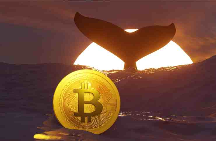 Na burzu Kraken sa presunulo 5 000 BTC. Čo to pre cenu znamená?