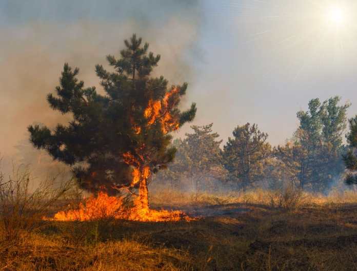 Zmeny klímy ničia aj úrodu