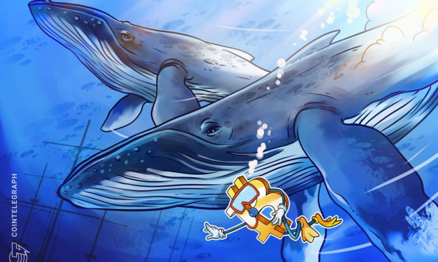 Why are Bitcoin whales accumulating BTC? Watch The Market Report