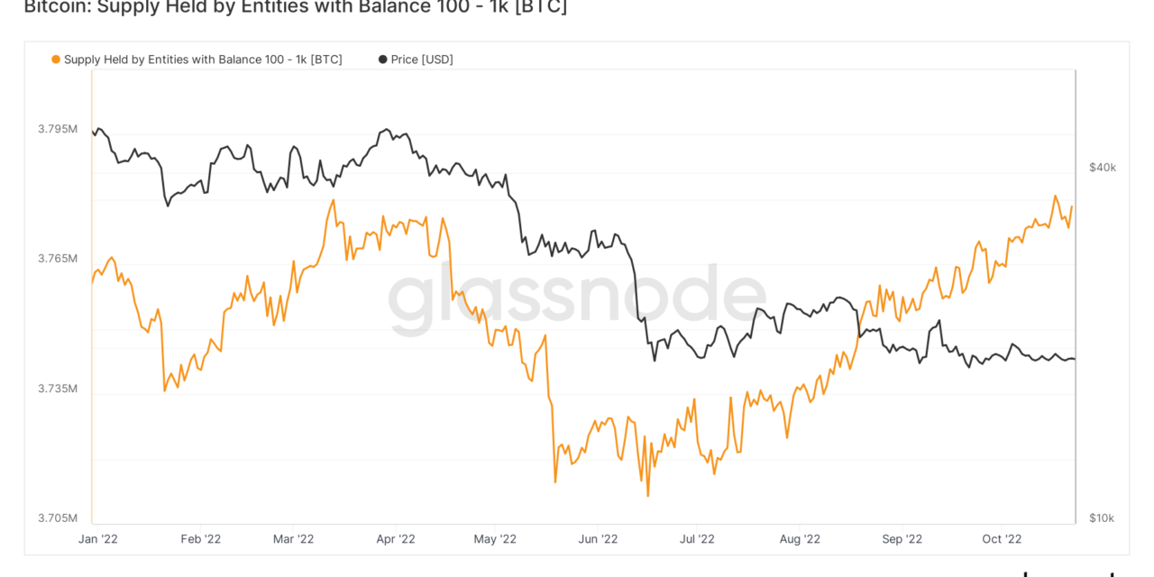 Small Bitcoin investors stop whales from crashing BTC price below $18K